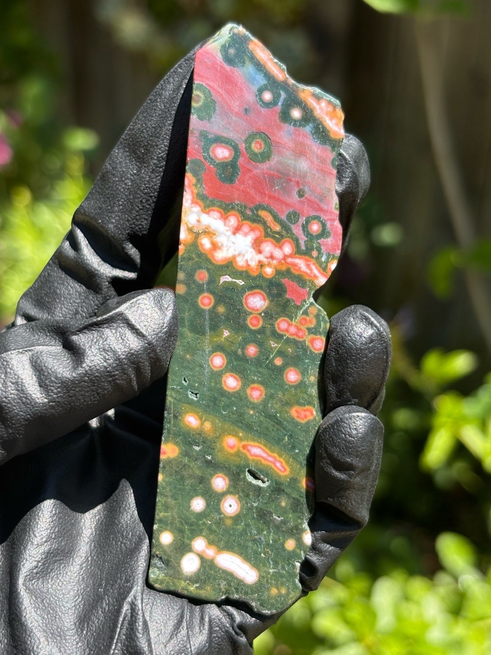 Ocean Jasper Crystal Slab - Sea Jasper - Polished Orbicular Jasper